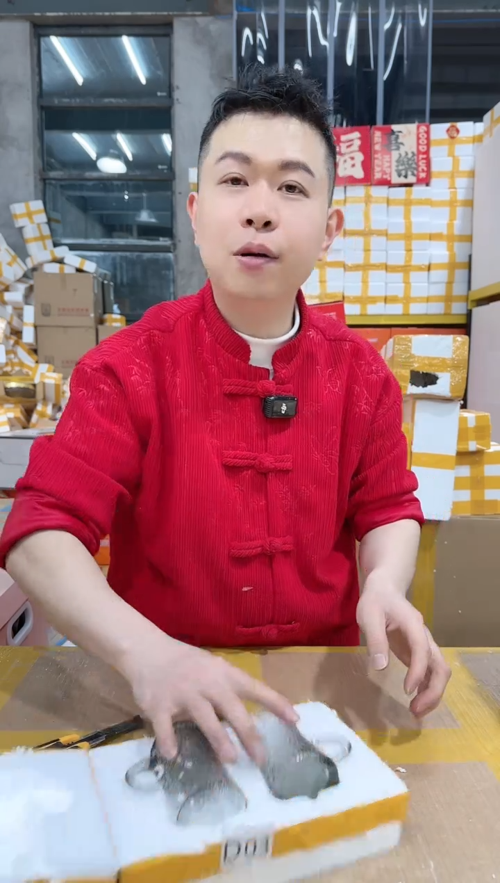 【闪购商品】NS-D03