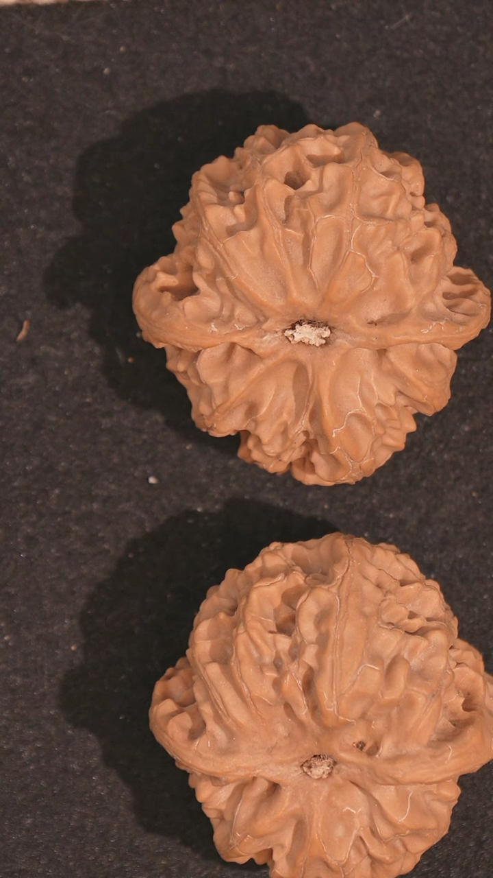 【闪购商品】文玩核桃把件苹果园40全品