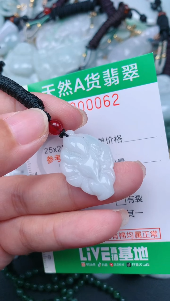 翡翠未镶嵌颈饰.0000062