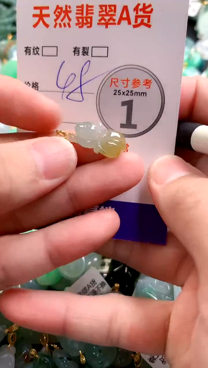颈饰未镶嵌翡翠29101682