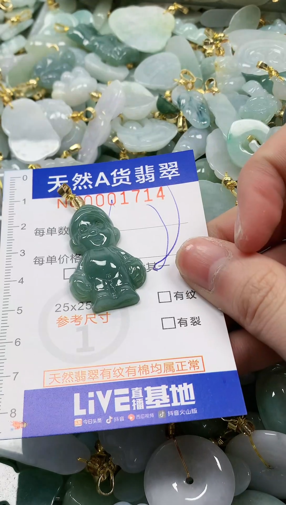 颈饰未镶嵌翡翠纯天然a货翡翠