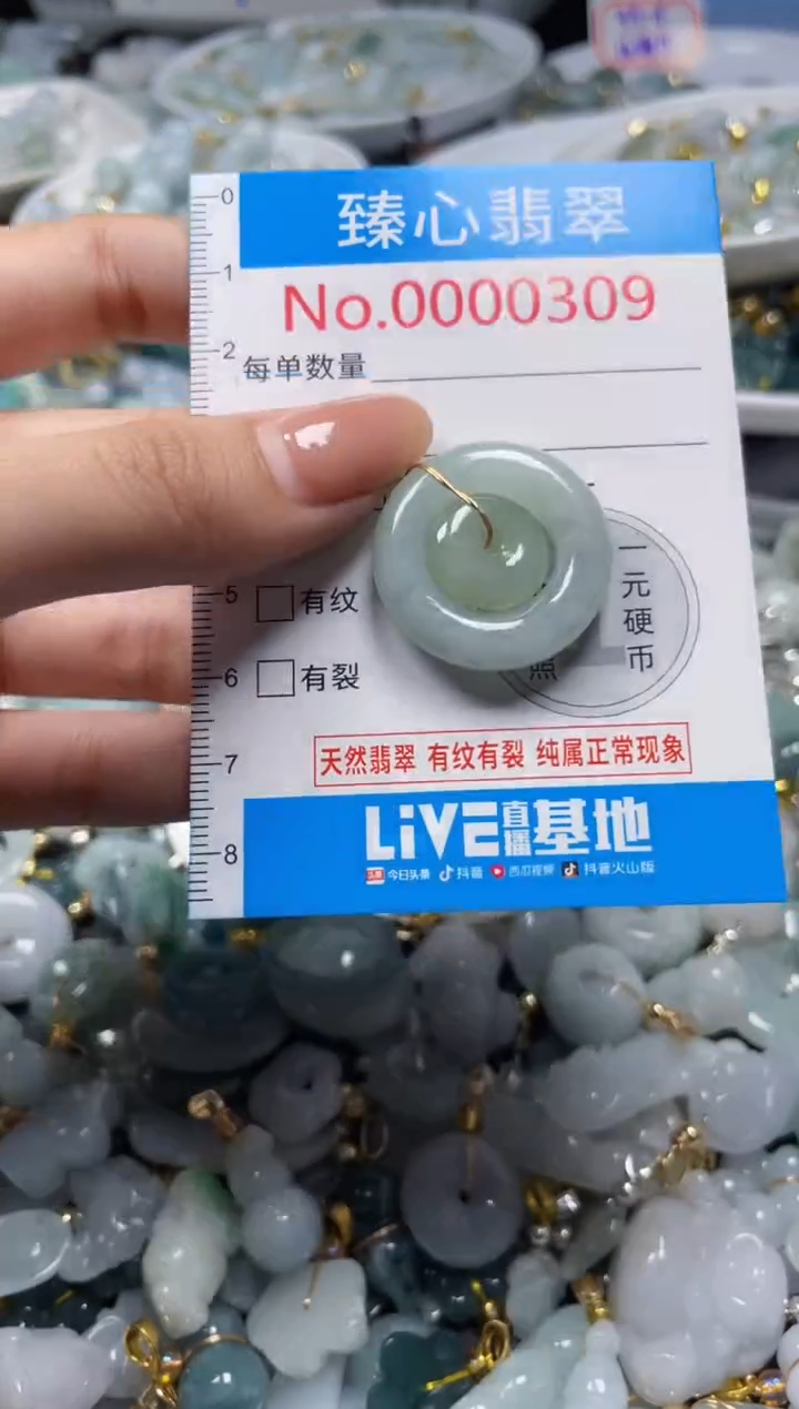 吊坠(不含链)未镶嵌翡翠309