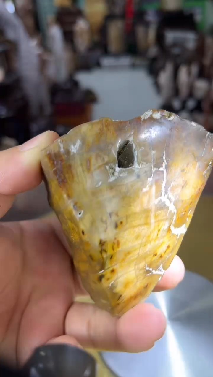 未镶嵌珠宝奇石硅化玉缅甸天然树化玉手把件