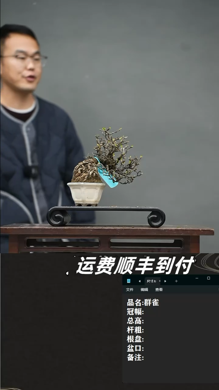 【闪购商品】11群雀