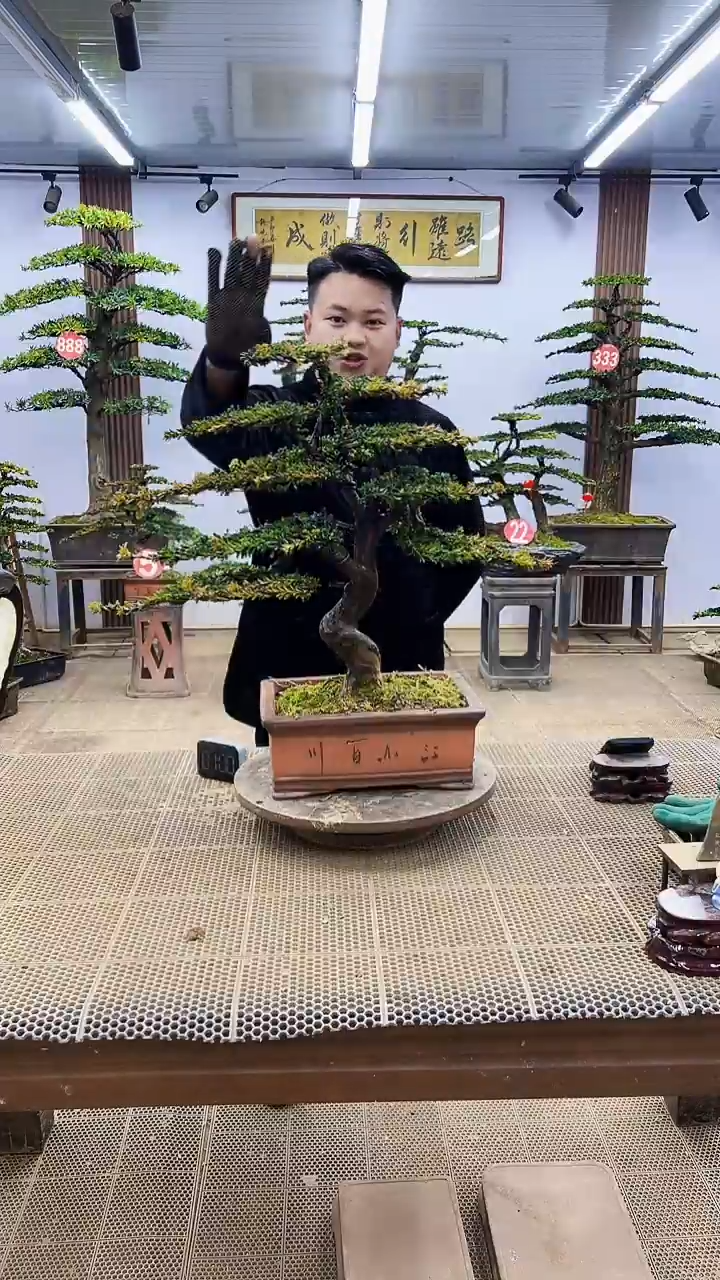 【闪购商品】000000000