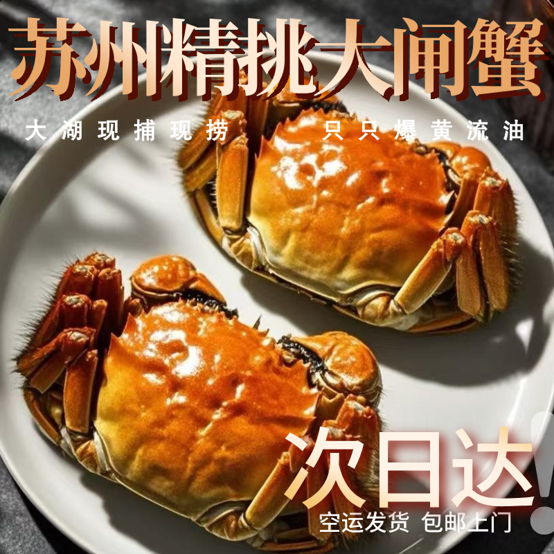 【J活蟹】苏州大闸蟹精挑蟹全母蟹3.1-2.8两8-10只顺丰京东空运送货上门金标蟹包邮江苏苏州大闸蟹