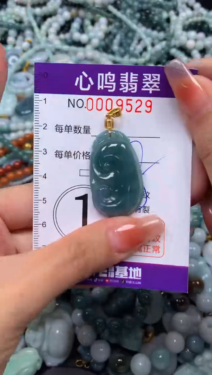 颈饰未镶嵌翡翠闪购009529