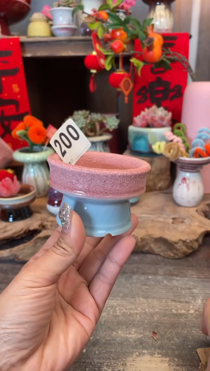 【闪购商品】摆件200知木小芳花盆