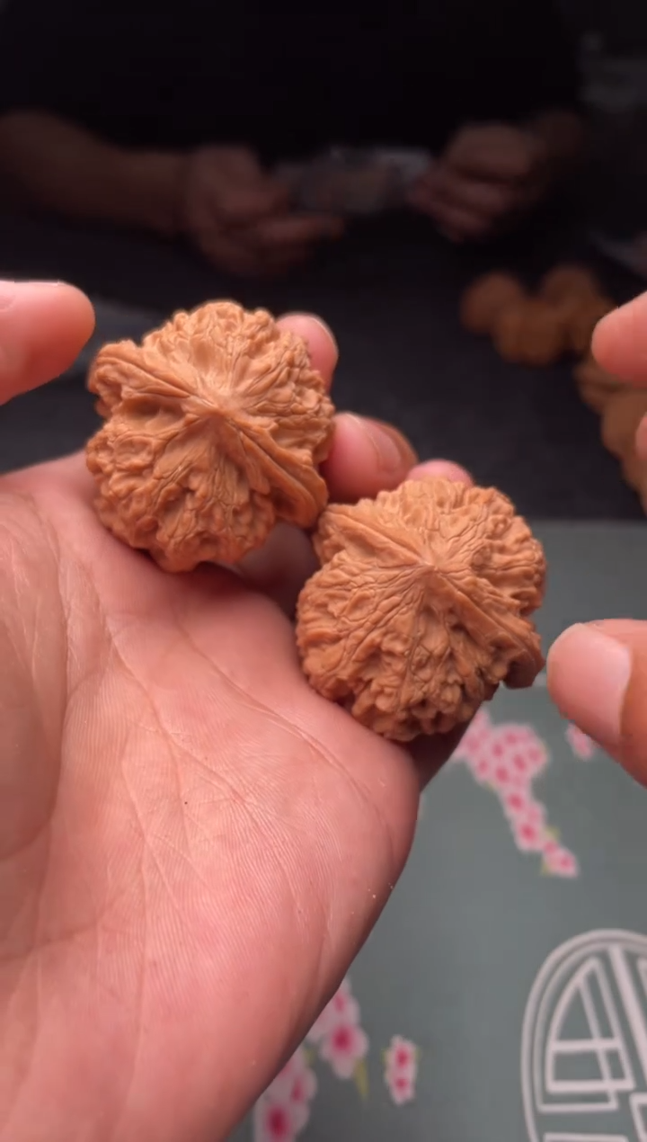 核桃a 229   牡丹 40尺