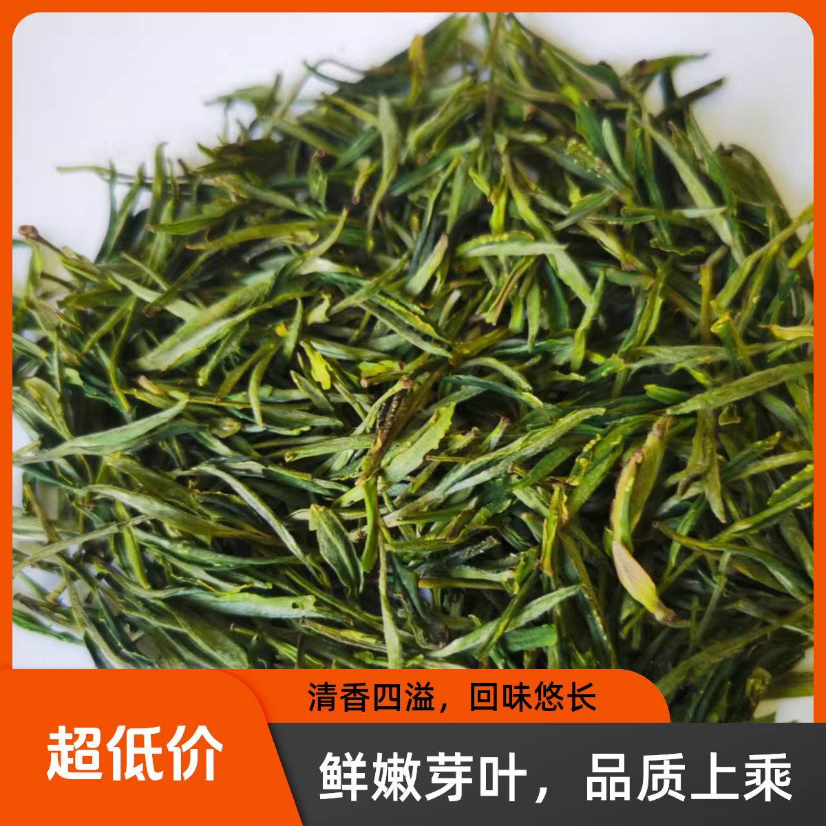 新茶黄山毛峰高山茶兰花香