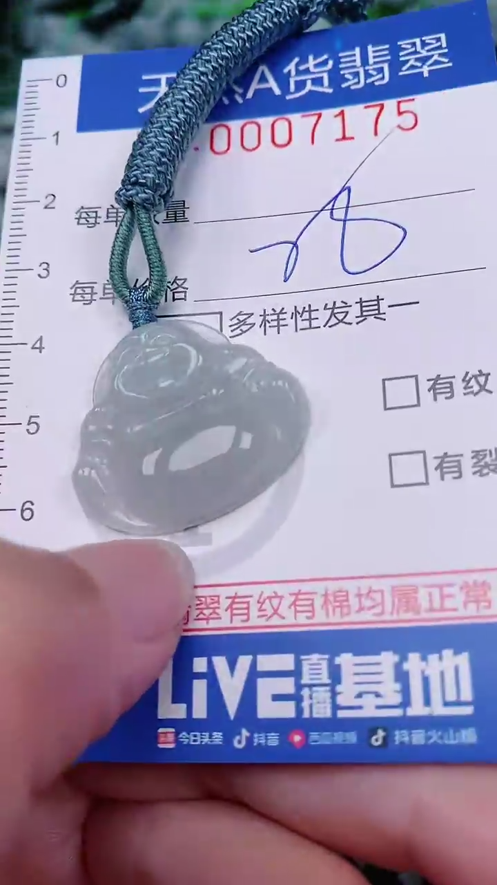 【闪购商品】翡翠未镶嵌颈饰00007175