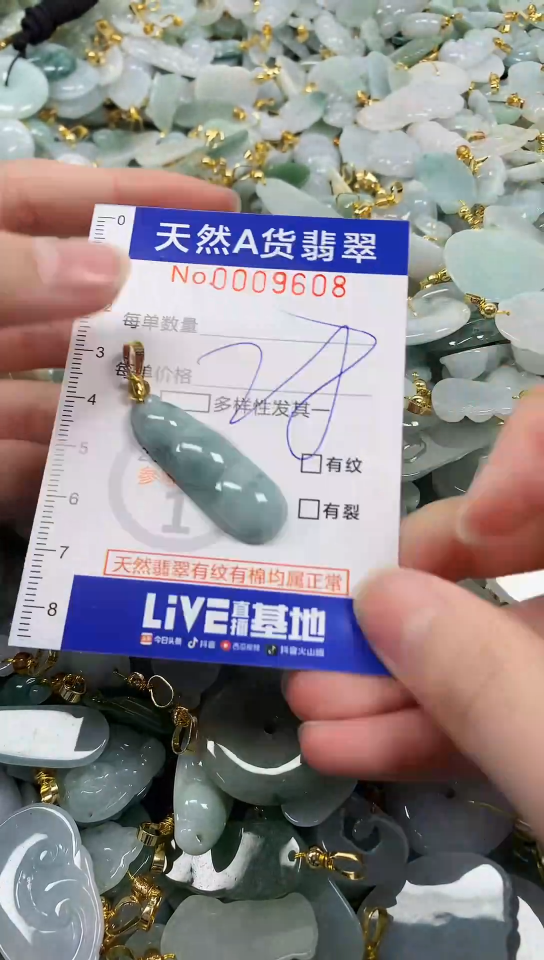 颈饰未镶嵌翡翠纯天然a货翡翠