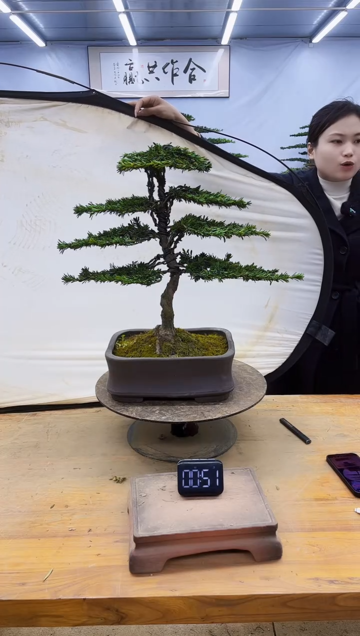 一物一拍，所见即所得