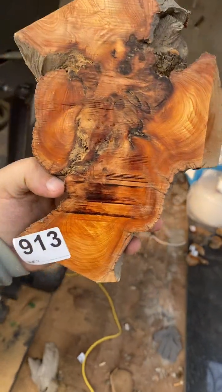 【闪购商品】柏木太行陈化崖柏切片