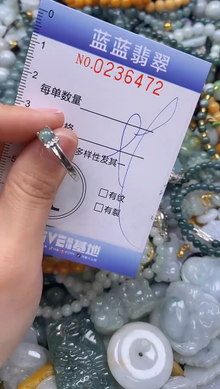 翡翠未镶嵌颈饰闪购0236472