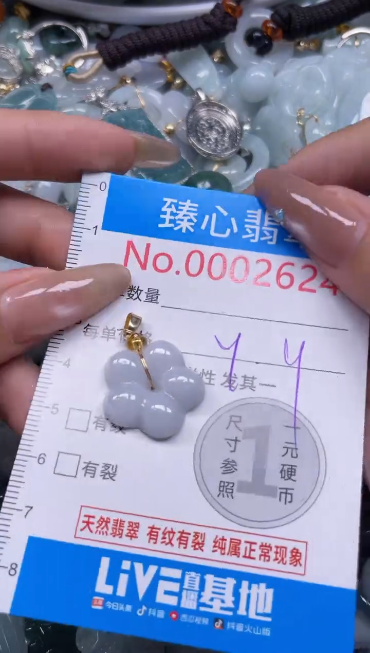 颈饰未镶嵌翡翠2624