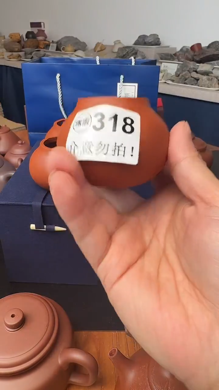 茶壶紫砂318小红泥半成品