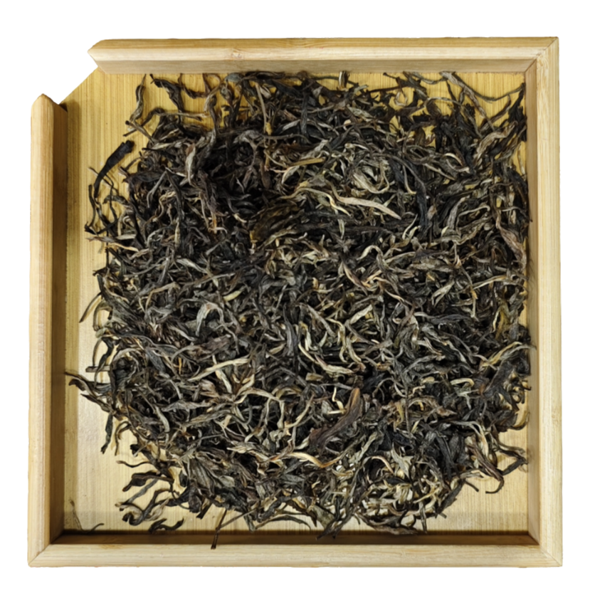 景迈山蜂王树2025年生茶散茶