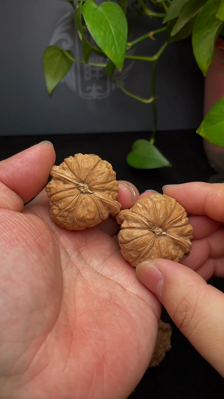 【闪购商品】文玩核桃把件南瓜墩43尺全品