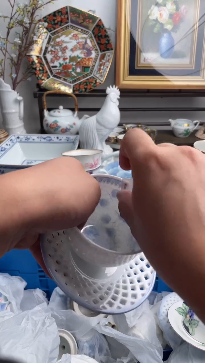 瓷片草**青666-K-          