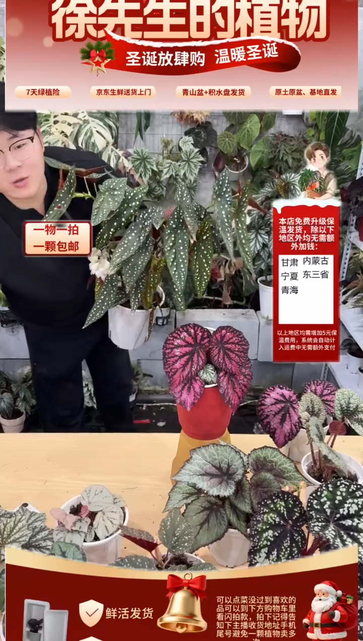 完全开放塞拉山王