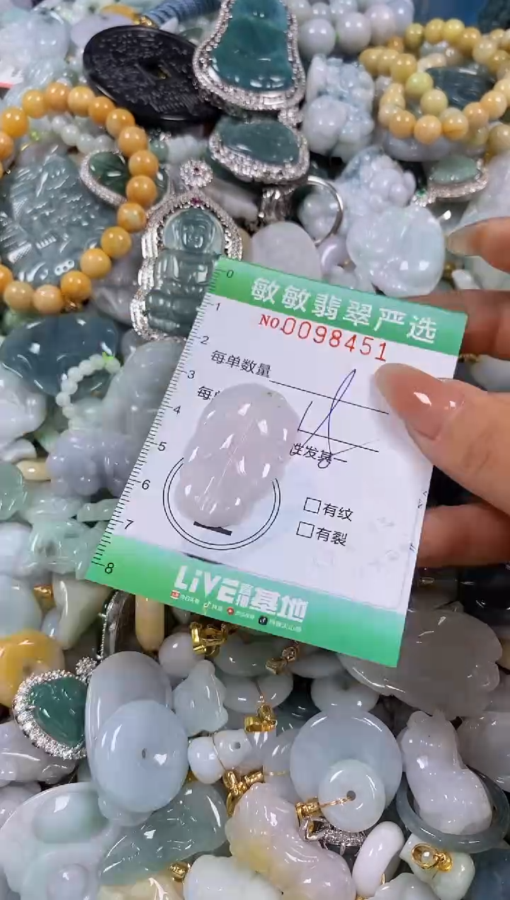 【闪购商品】翡翠颈饰未镶嵌闪购0098451