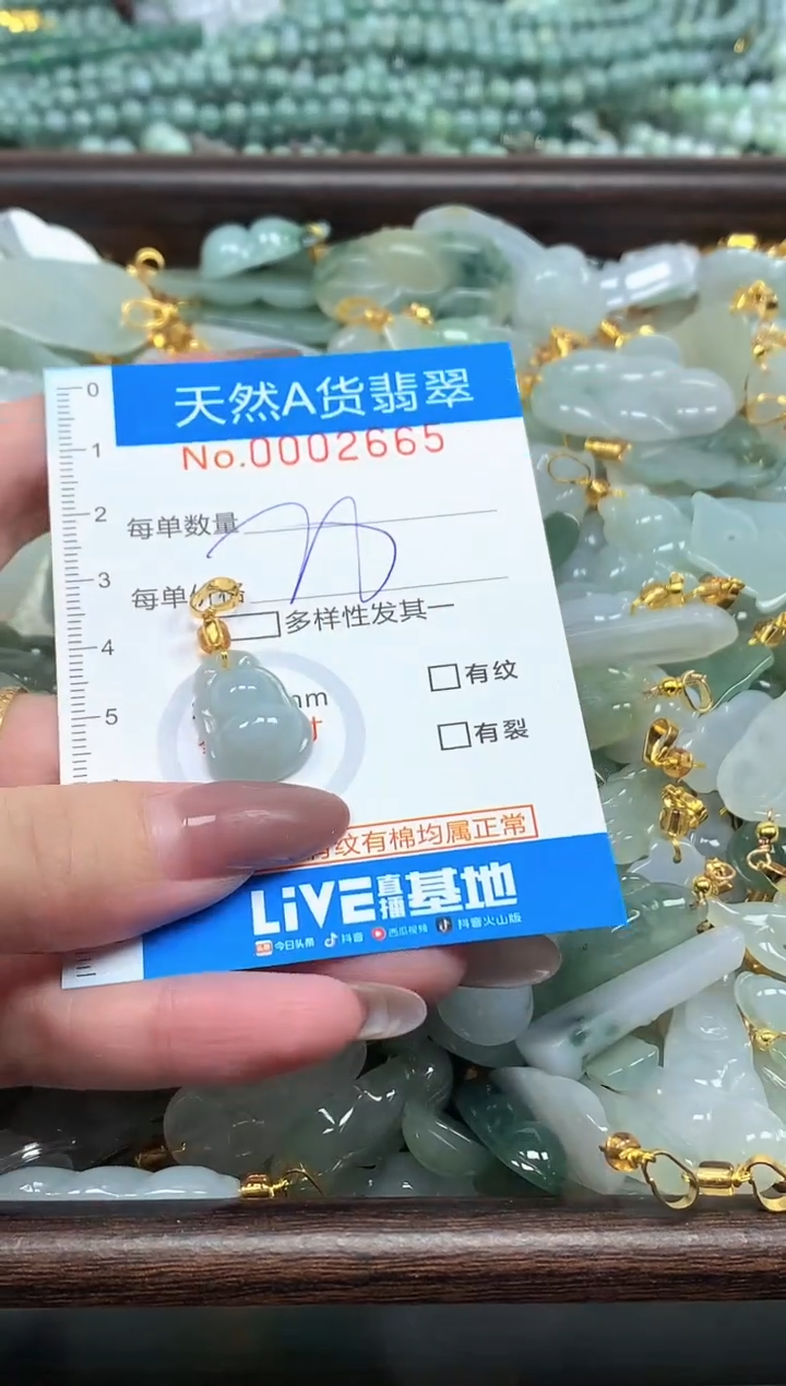 颈饰未镶嵌翡翠净货挂件-2665