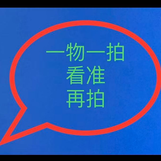 澳洲杉不老松盆景室内外好养常青适合办公室茶桌子摆绿植紫砂盆