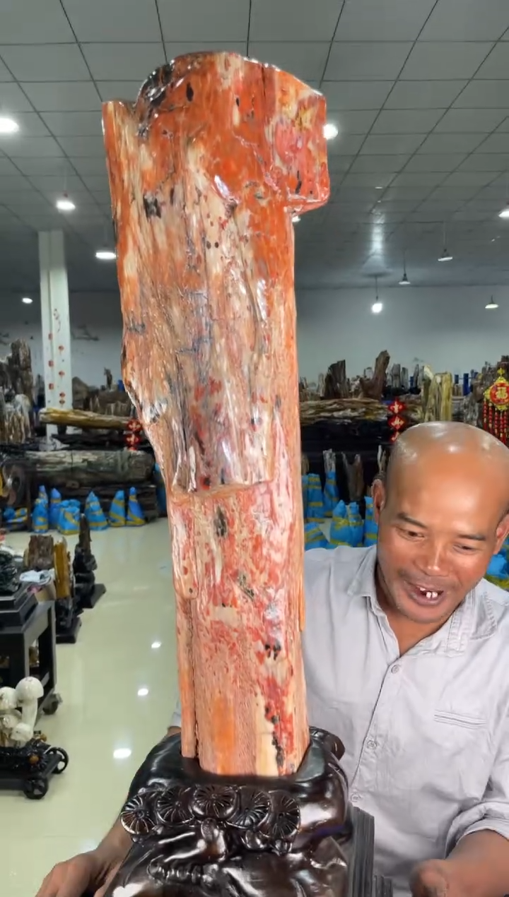 【闪购商品】硅化玉摆件未镶嵌99