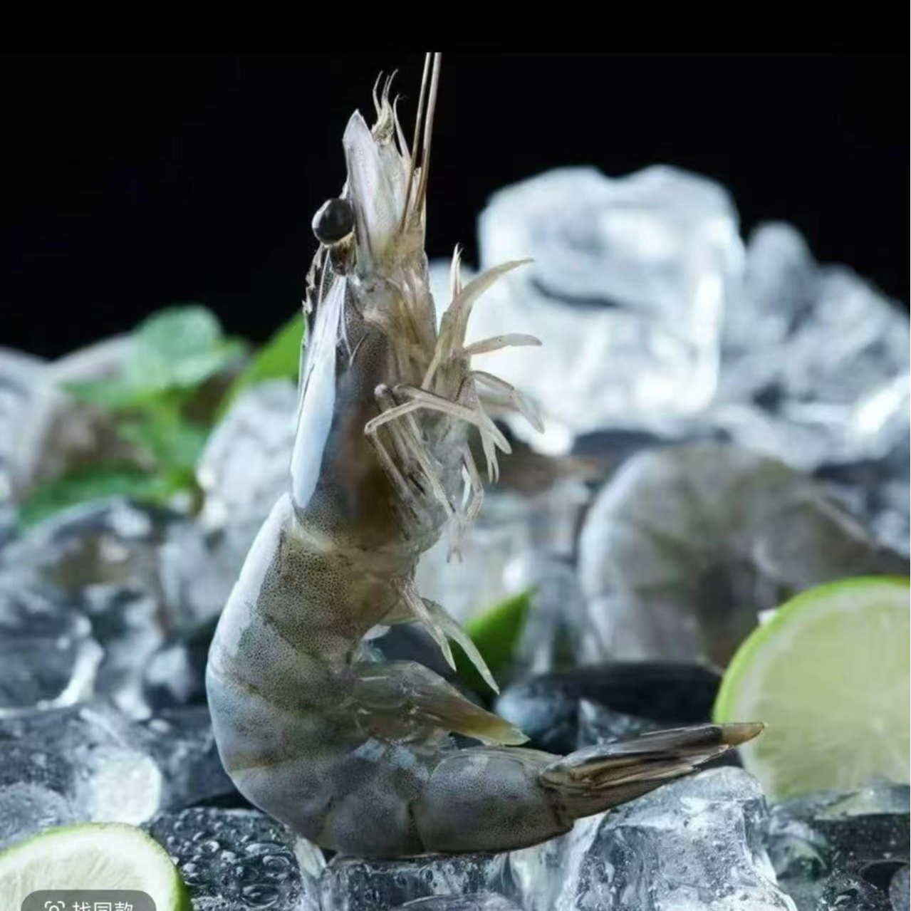 【海洋大虾】肉质鲜嫩大个头海水大虾单只16cm左右，一盒4斤40-50只海鲜-19号里里