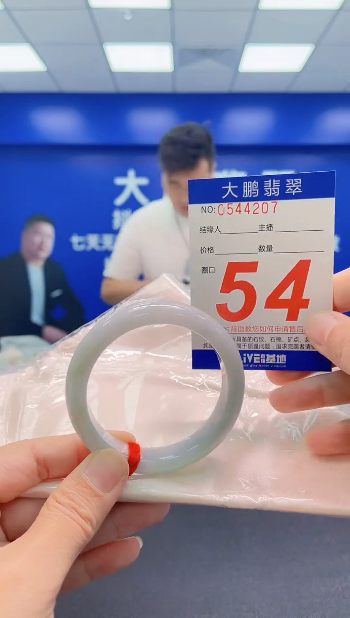 未镶嵌手镯翡翠AAAAAAAAA