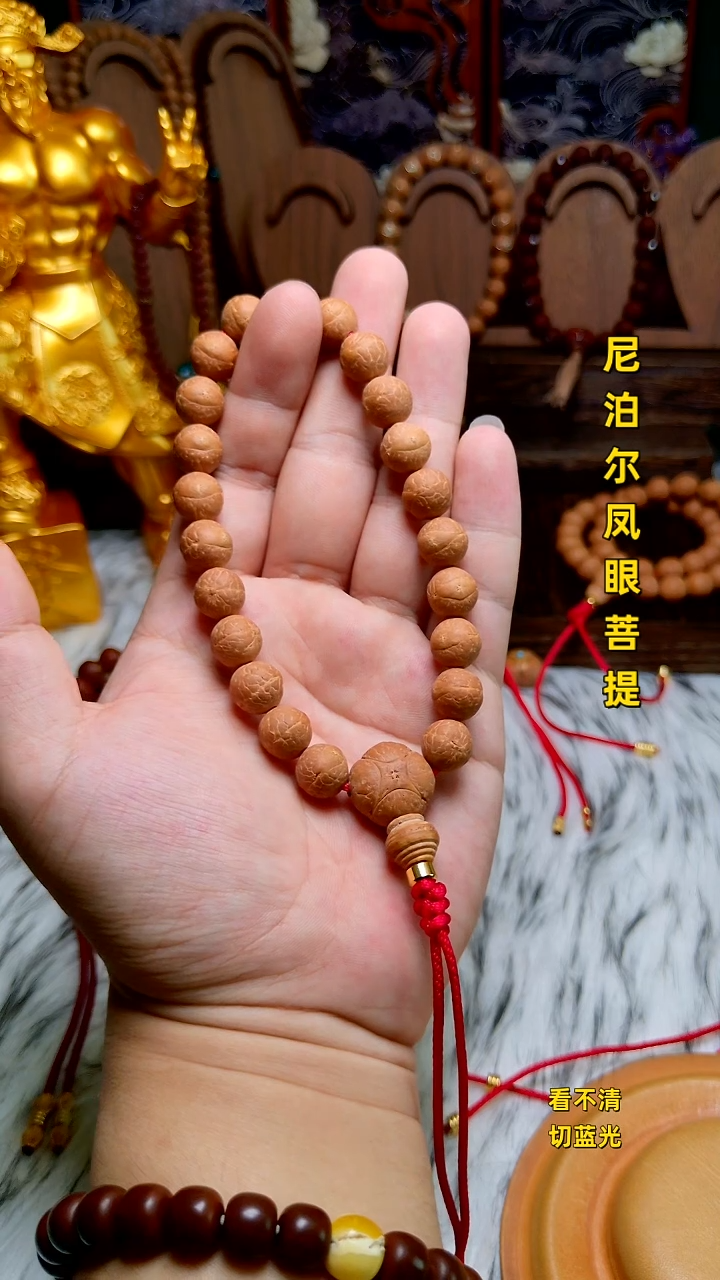 手串凤眼菩提新籽11