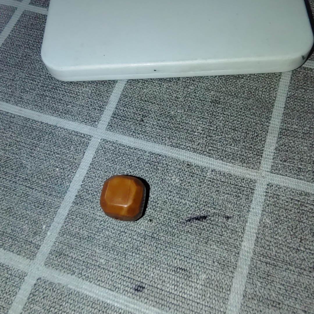 猴头六方备籽瑕疵