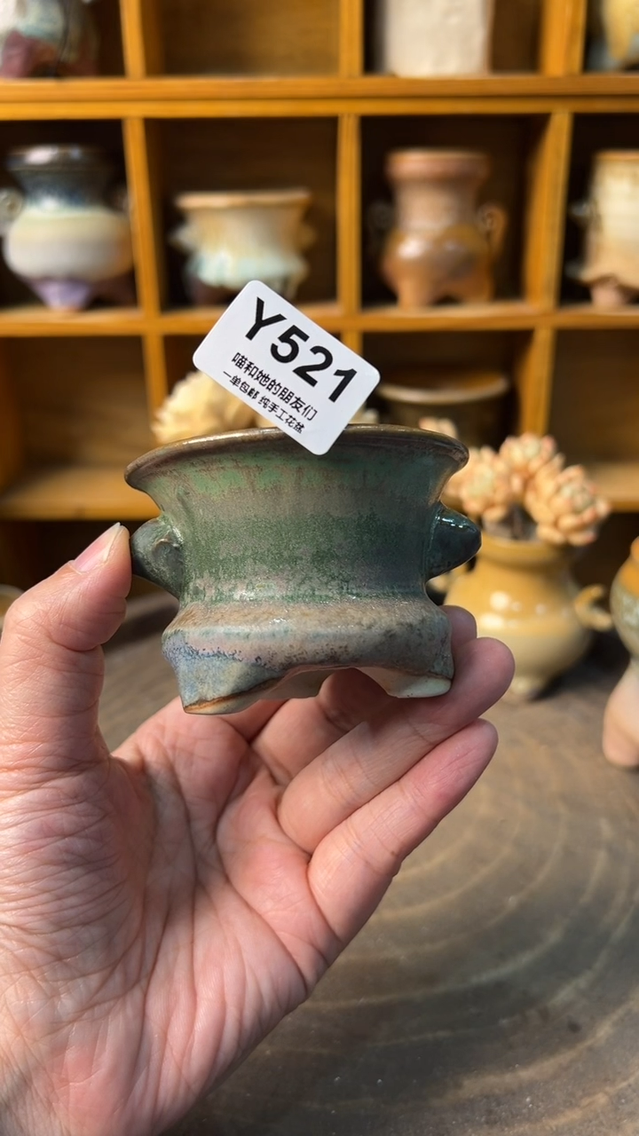 521 内口6【多肉花盆多肉盆】