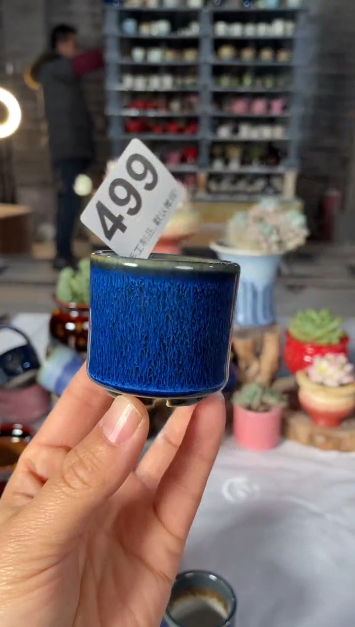 瓷片499小芳直播编号