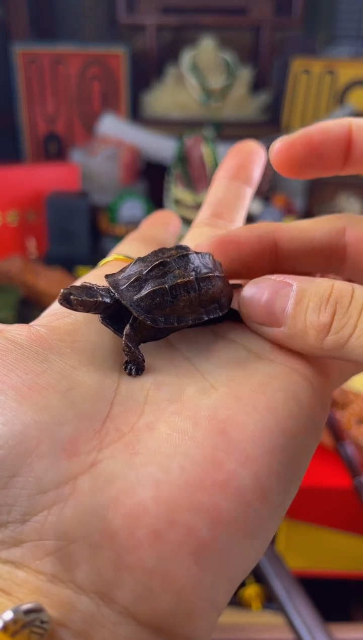 雅畅直播精选链接