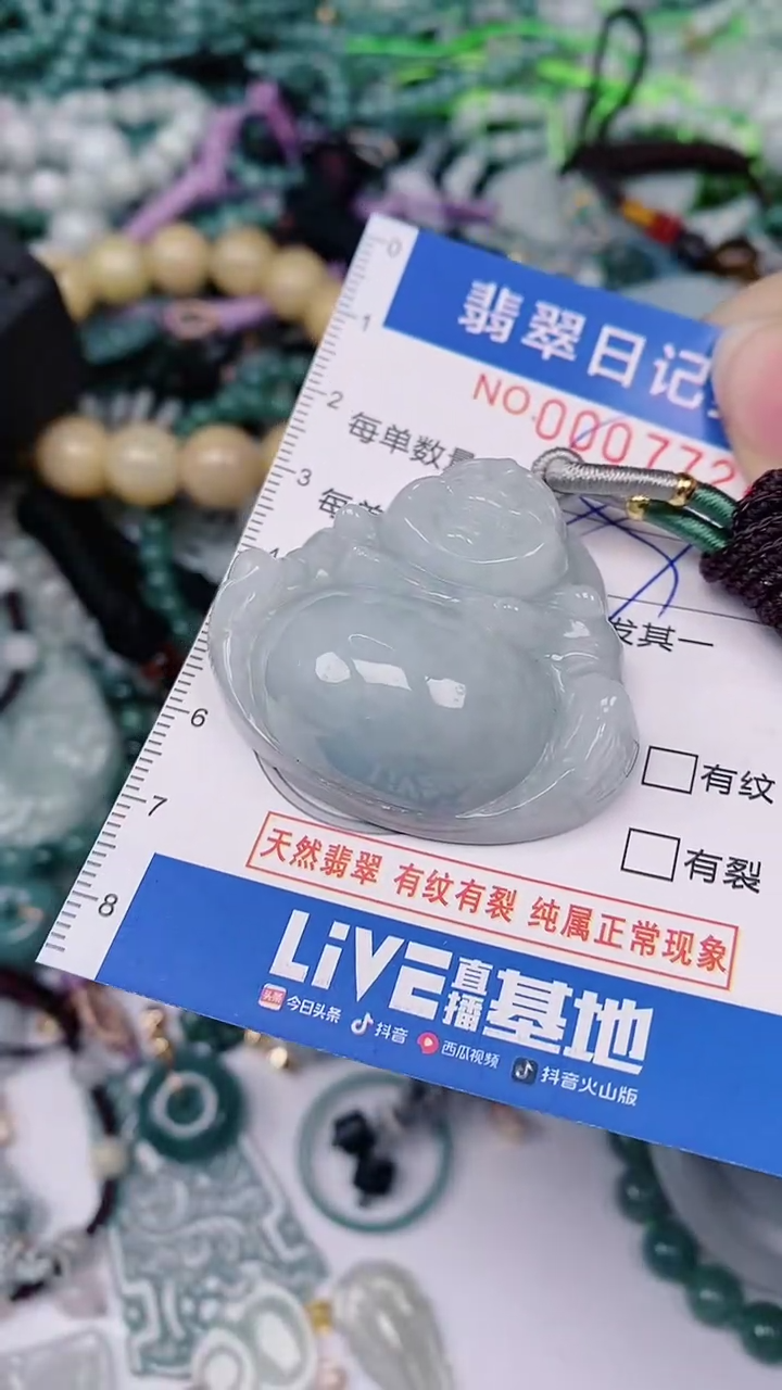 【闪购商品】翡翠颈饰未镶嵌00007724