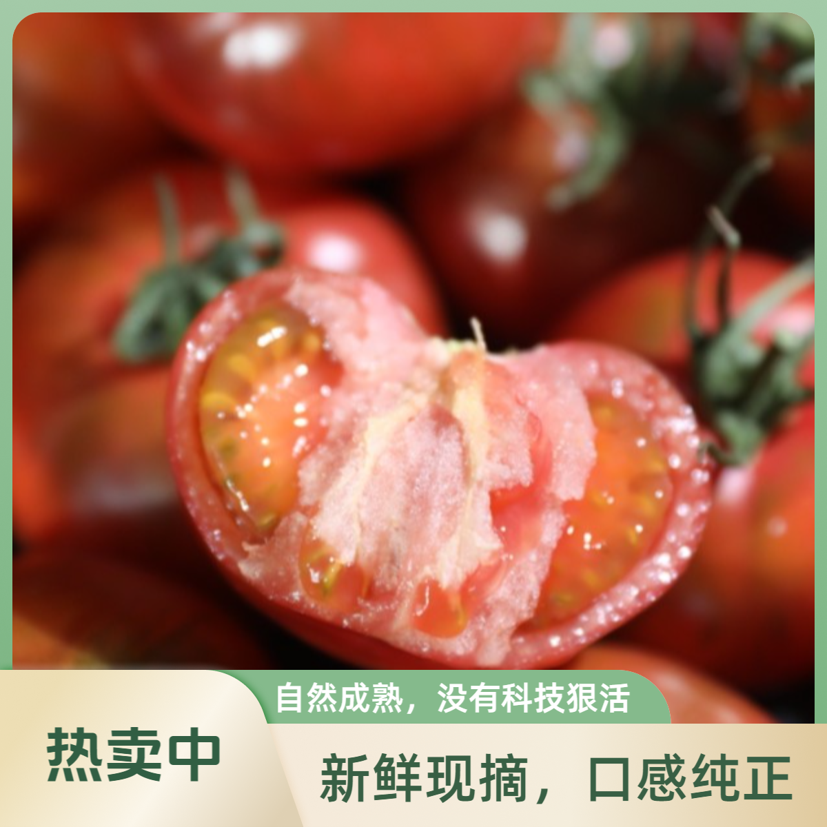 【草莓西红柿】密云本地草莓西红柿水果西红柿生吃的西红柿现摘现发