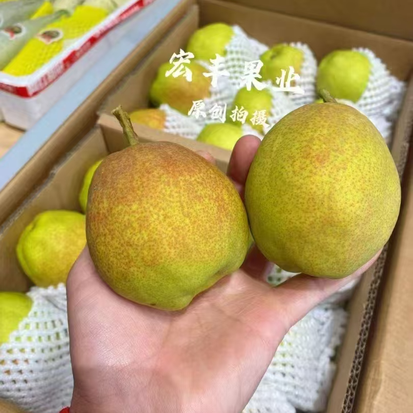 新疆库尔勒香梨2斤