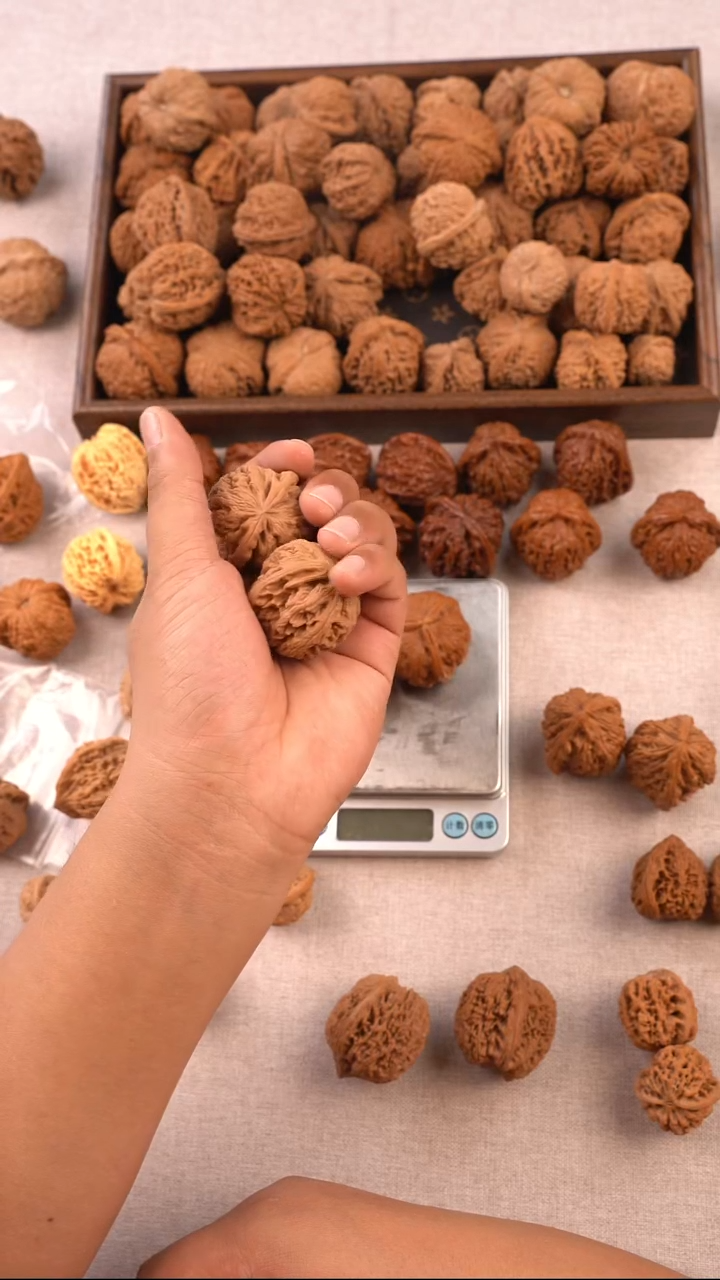 把件文玩核桃38大粗筋