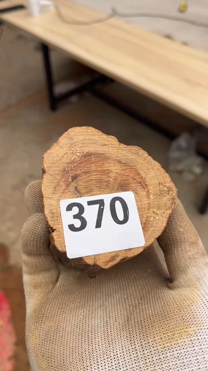 柏木（崖柏）太行崖柏香墩子