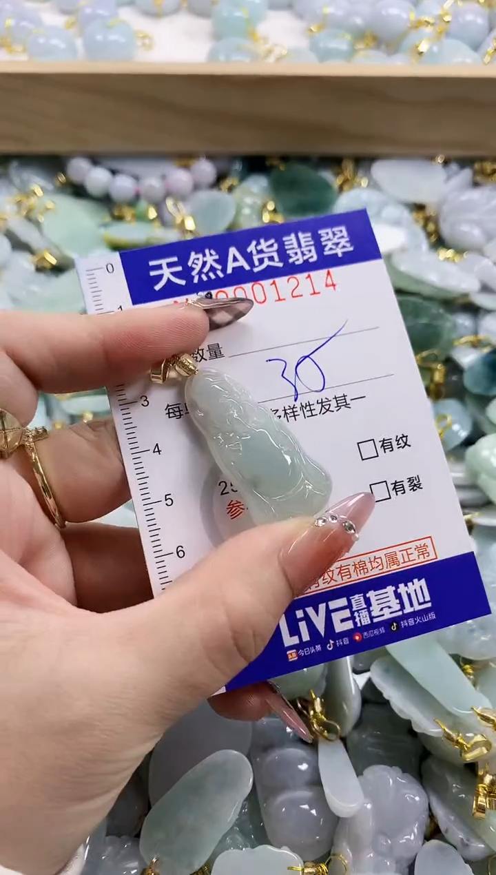 颈饰未镶嵌翡翠天然A货翡翠