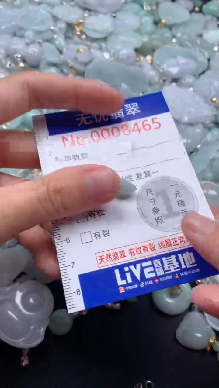 颈饰未镶嵌翡翠8465