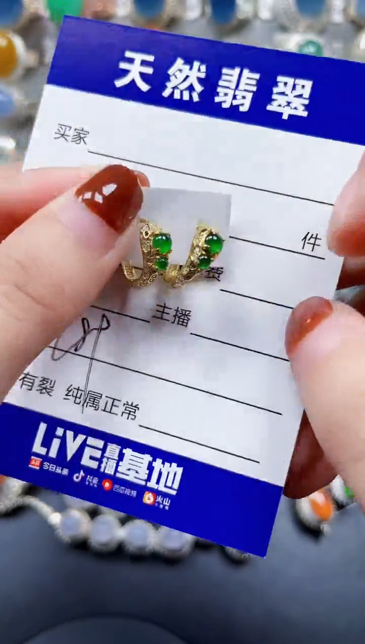 银S925镶嵌翡翠耳饰789