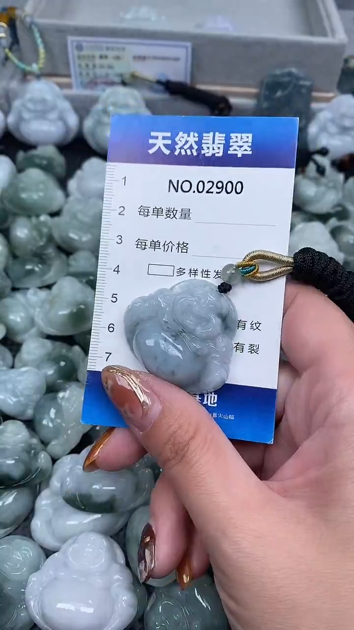 颈饰未镶嵌翡翠纯天然A货翡翠2900