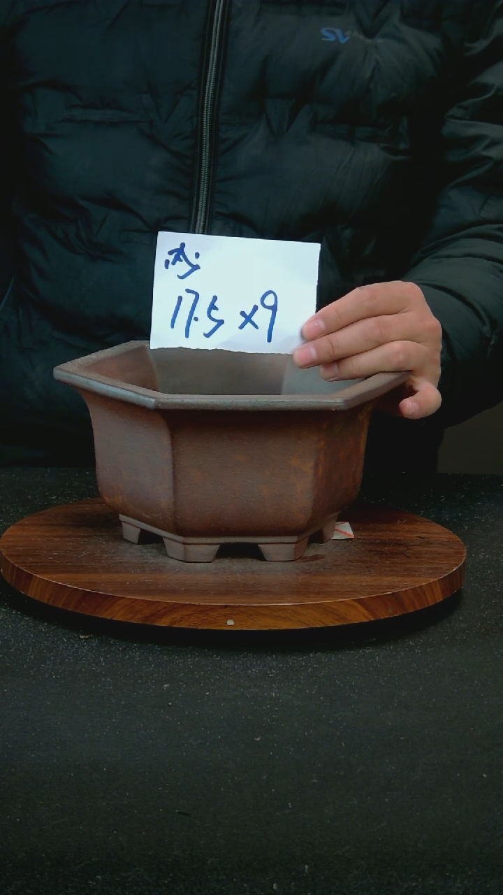 【闪购商品】紫砂R81