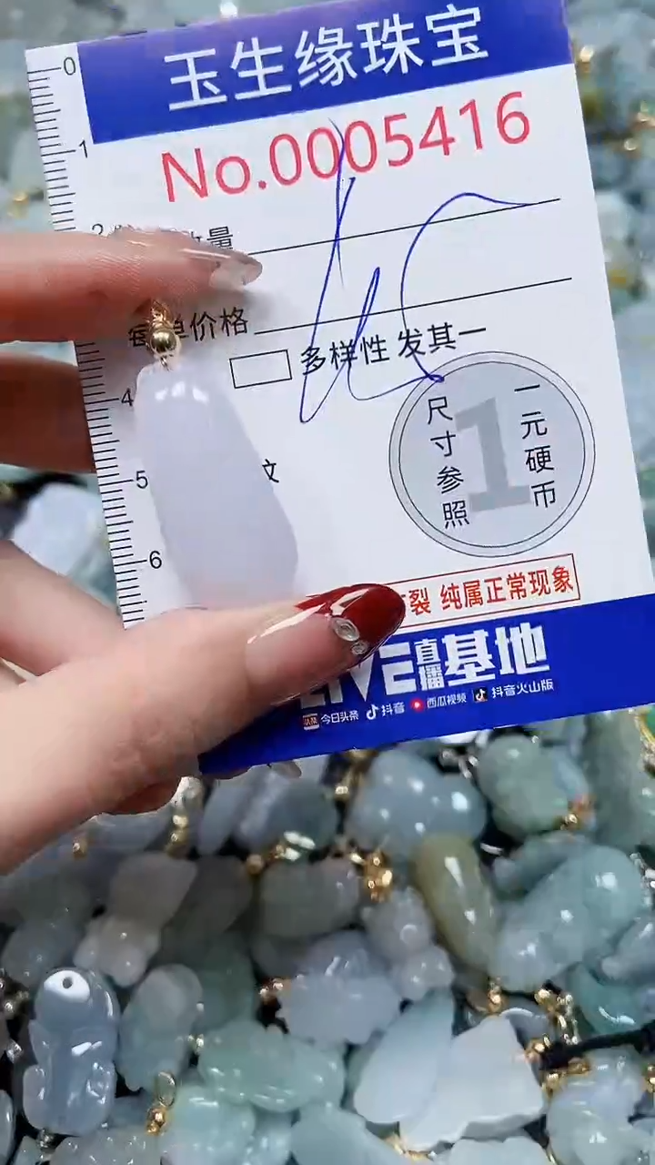 【闪购商品】翡翠颈饰未镶嵌闪购00005416