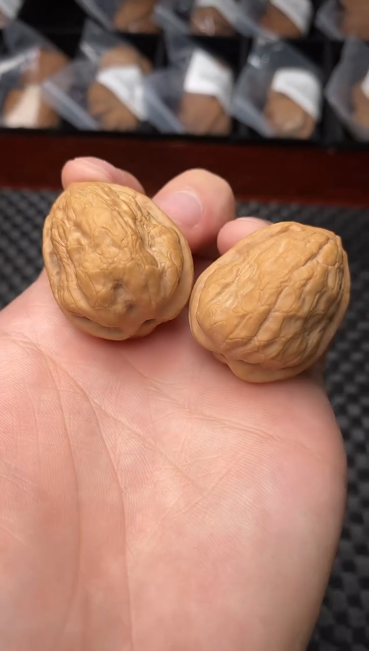 把件文玩核桃全品石籽金蝉王30尺