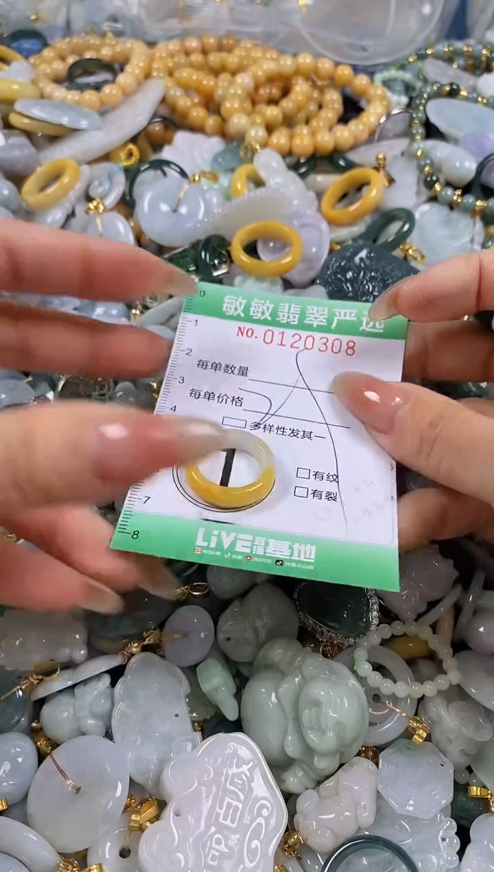 【闪购商品】翡翠颈饰未镶嵌闪购0120308