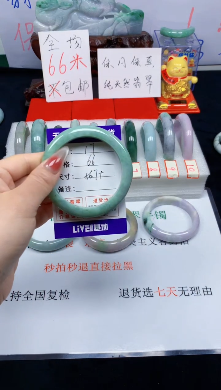 未镶嵌手镯翡翠17